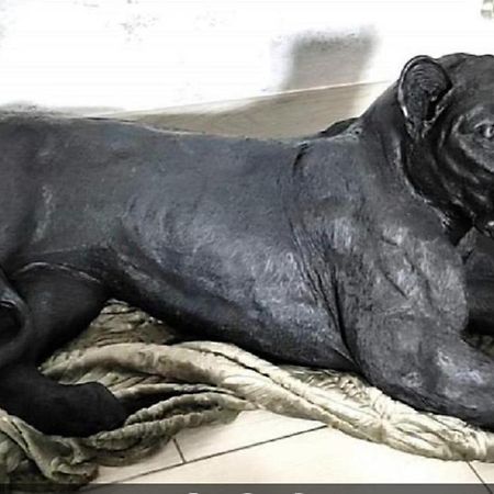 Zoologite Saint-Aignan  Zewnętrze zdjęcie