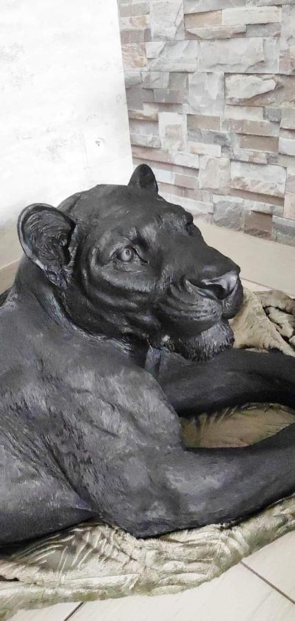Zoologite Saint-Aignan  Zewnętrze zdjęcie